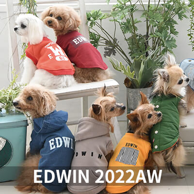 2022 Autumn&Winter EDWIN
