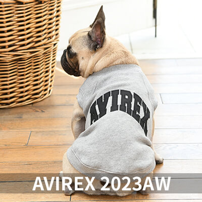 2022 Autumn&Winter AVIREX