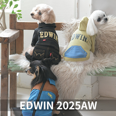 Autumn&Winter EDWIN