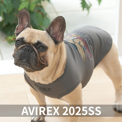 2025 Spring&Summer AVIREX