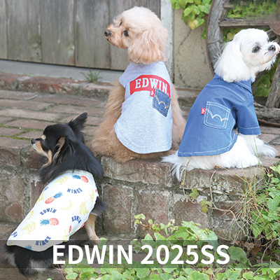 2025 Spring&Summer EDWIN