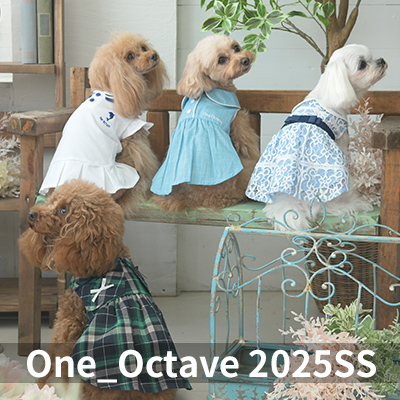 2025 Spring&Summer OCTAVE