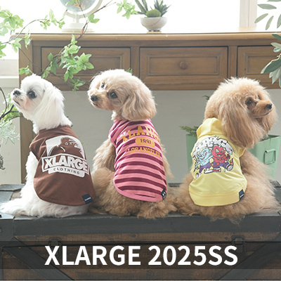 2025 Spring&Summer XLARGE