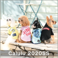2020 Spring&Summer calulu