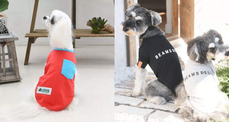 左：LOGOSのドッグシャツを着た犬、右：BEAMS DESIGN（ビームス デザイン）のドッグシャツを着た犬