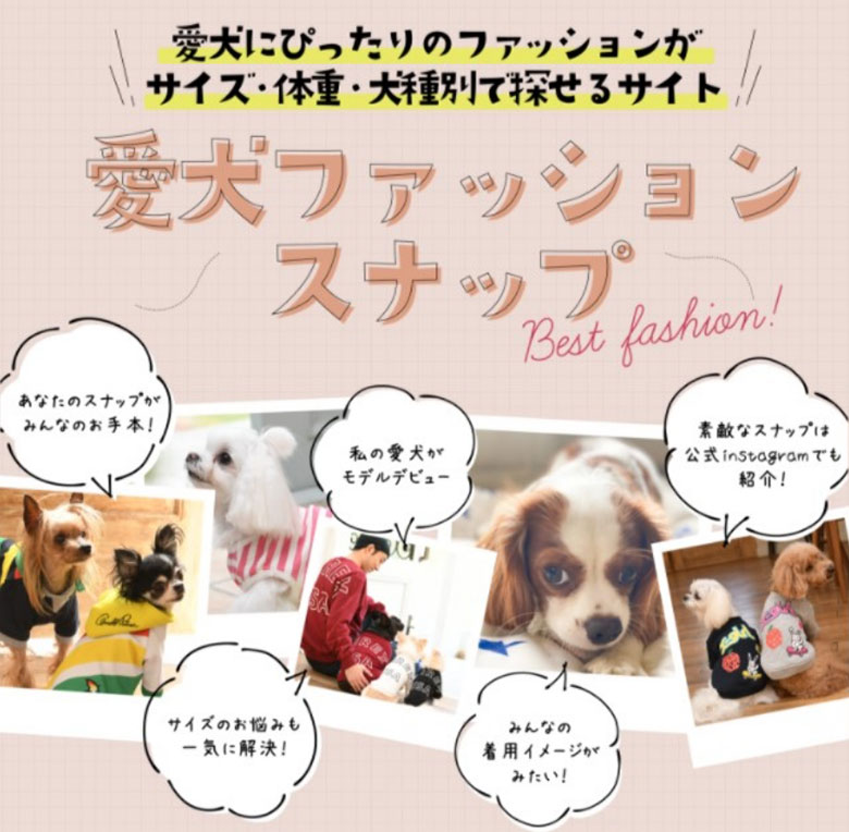 愛犬ファッションスナップ/愛犬ファッション図鑑