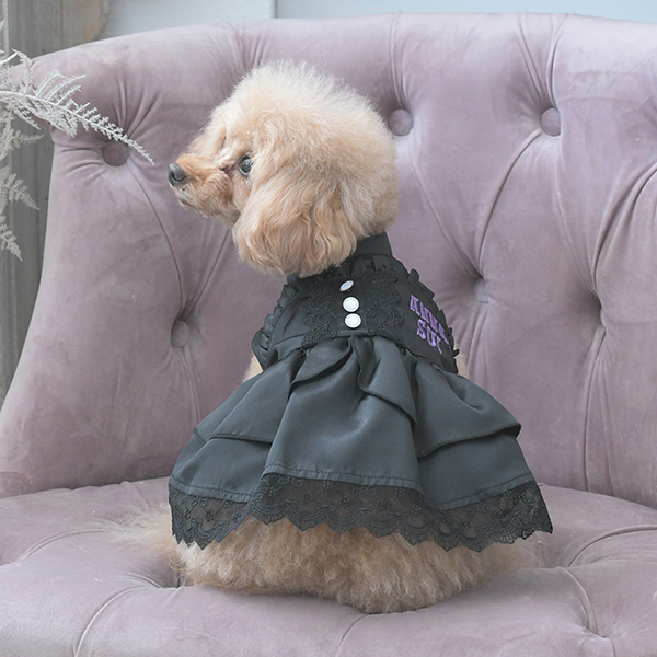 2025秋冬 ANNA SUI(アナ スイ)サテンドレス