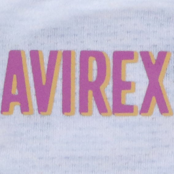 AVIREX（アヴィレックス）ビッグロゴTEE V