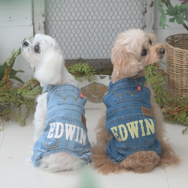 EDWIN( エドウィン)オーバーオール