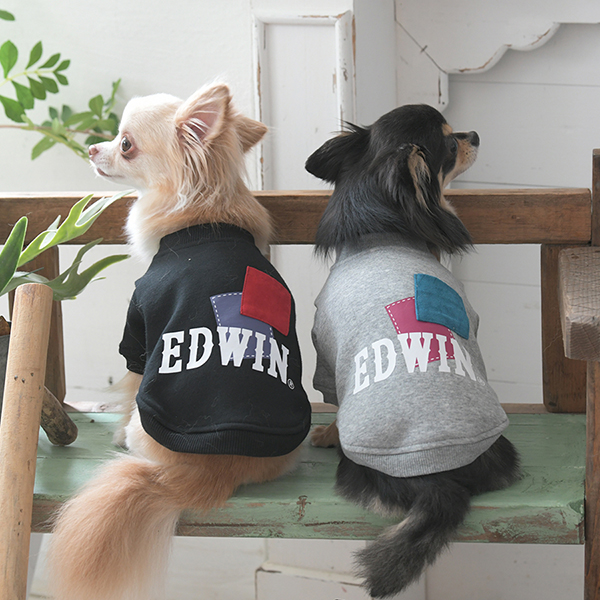 2025秋冬 EDWIN( エドウィン)パッチワークスウェット