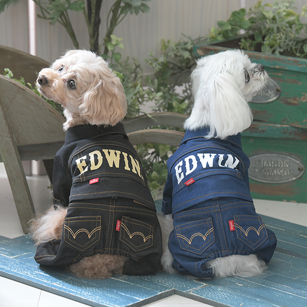 2025秋冬 EDWIN( エドウィン)デニムライクセットアップ