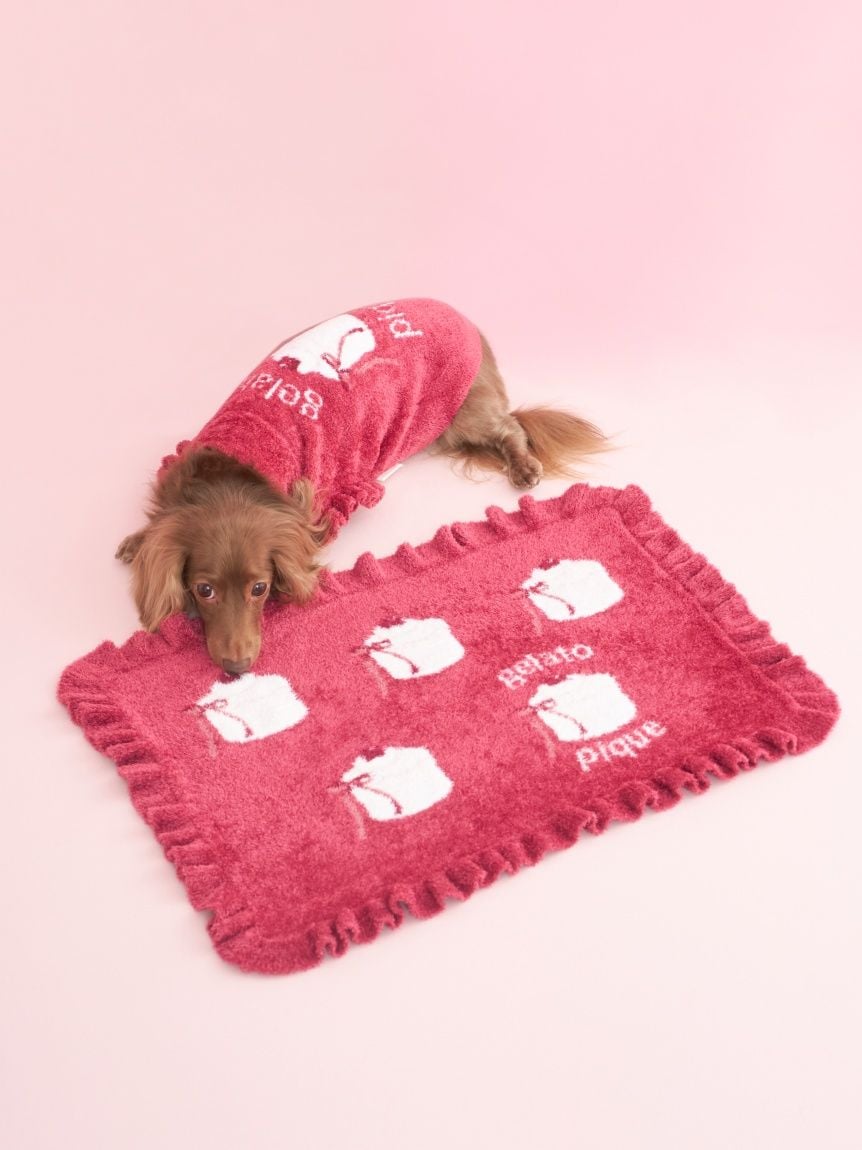 gelato pique(ジェラートピケ)【CAT&DOG】【販路限定商品】オータムケーキジャガードブランケット|全3色