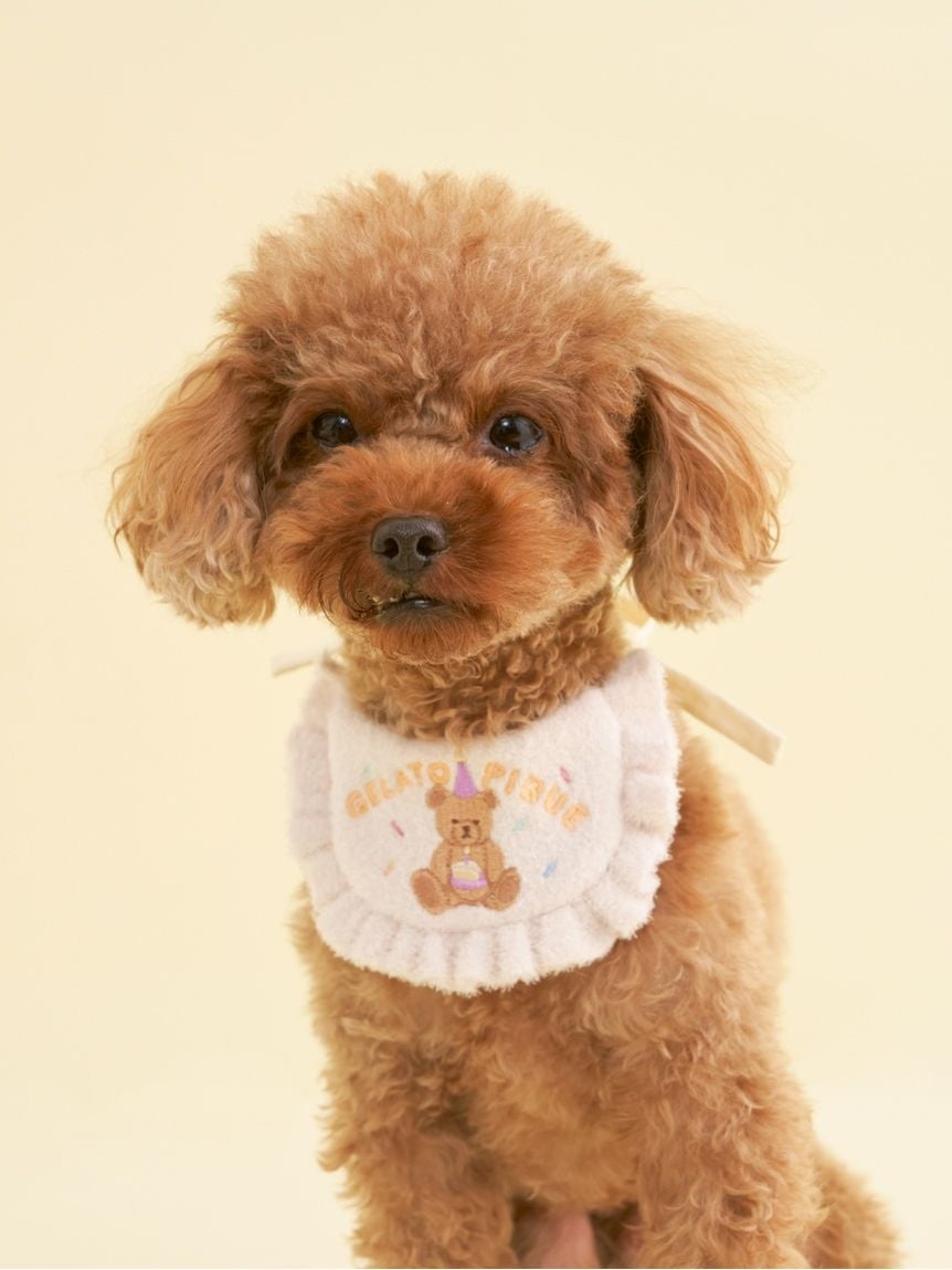 gelato pique(ジェラートピケ)【CAT&DOG】【販路限定商品】【BIRTHDAY】スムーズィーバースデースタイ|全2色