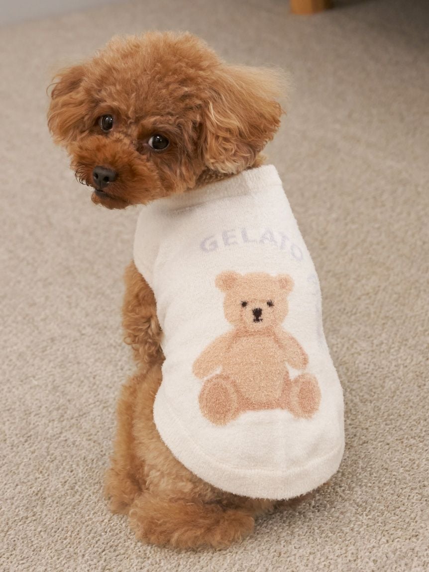 gelato pique(ジェラートピケ)【CAT&DOG】【販路限定商品】ベアジャガードプルオーバー|全3色