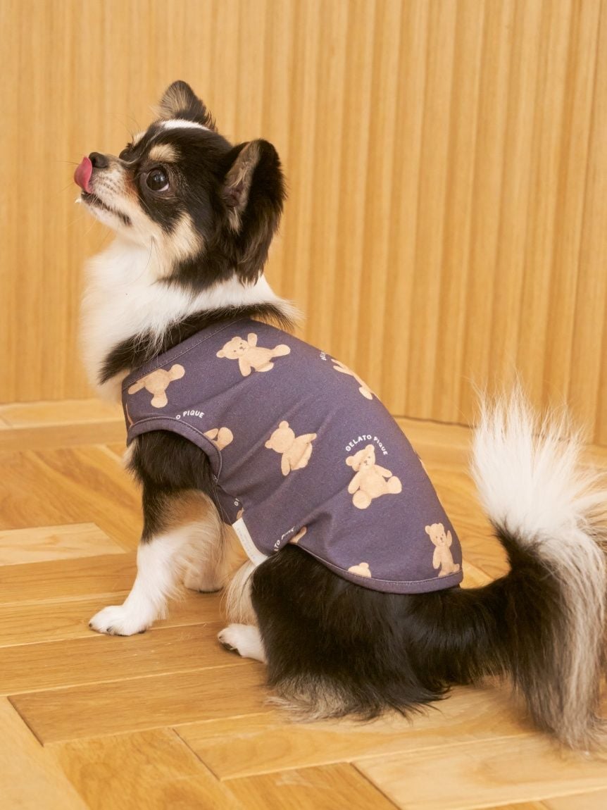 gelato pique(ジェラートピケ)【CAT&DOG】【販路限定商品】ベア柄プルオーバー|全2色