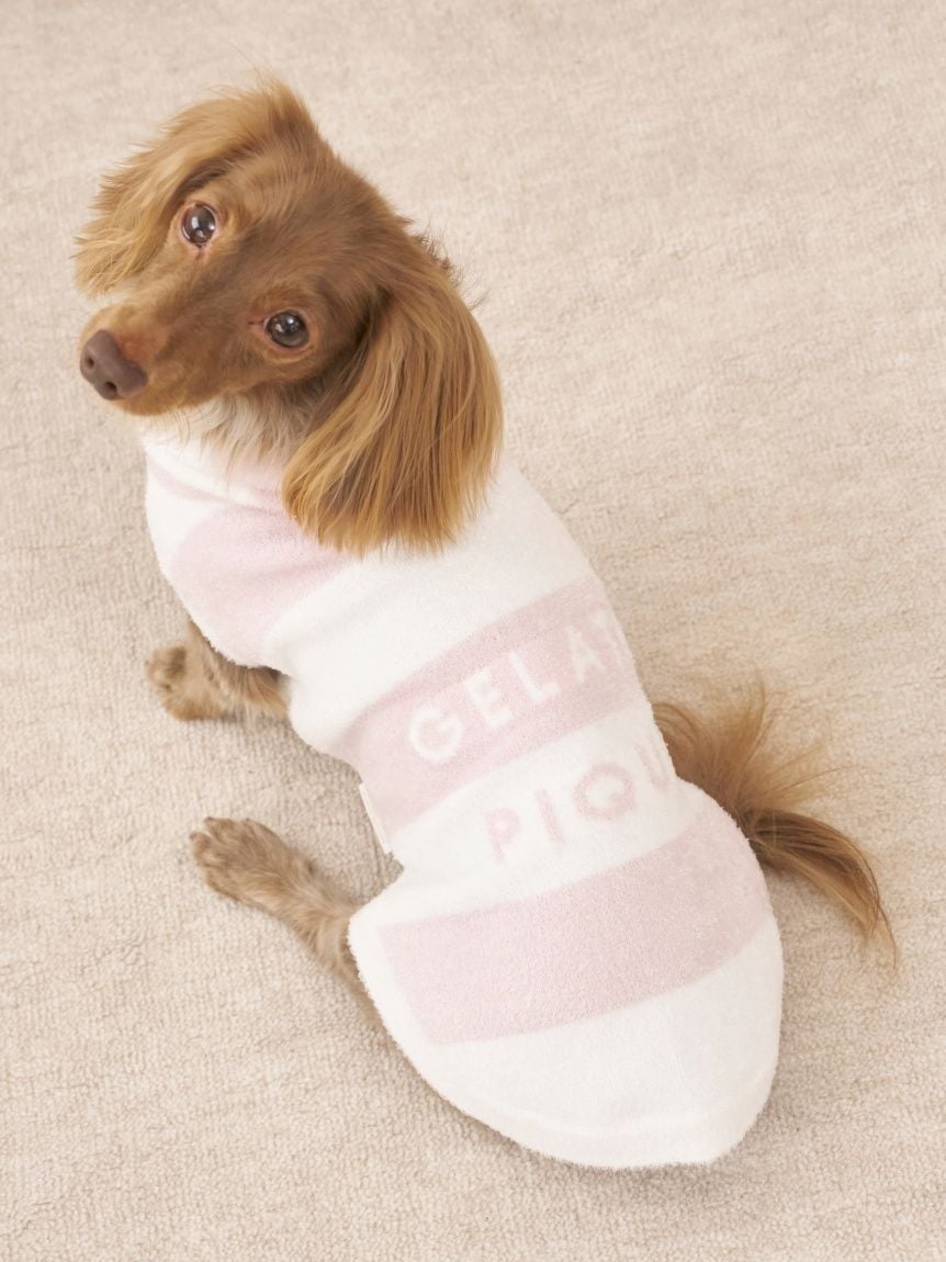gelato pique(ジェラートピケ)【CAT&DOG】【販路限定商品】スムーズィー2BDフーディー ダックスサイズ|全4色