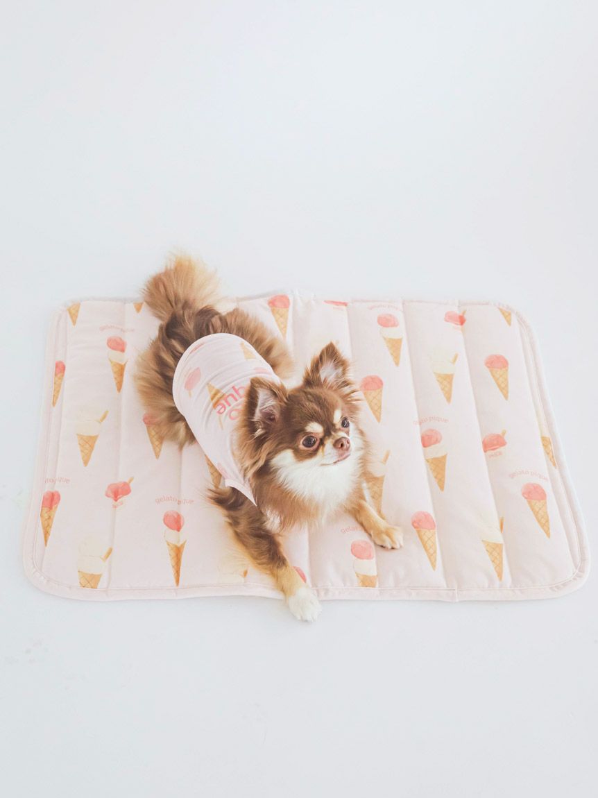 gelato pique（ジェラートピケ）【CAT&DOG】【販路限定商品】【2024SS】アイス柄COOLマット｜全2色