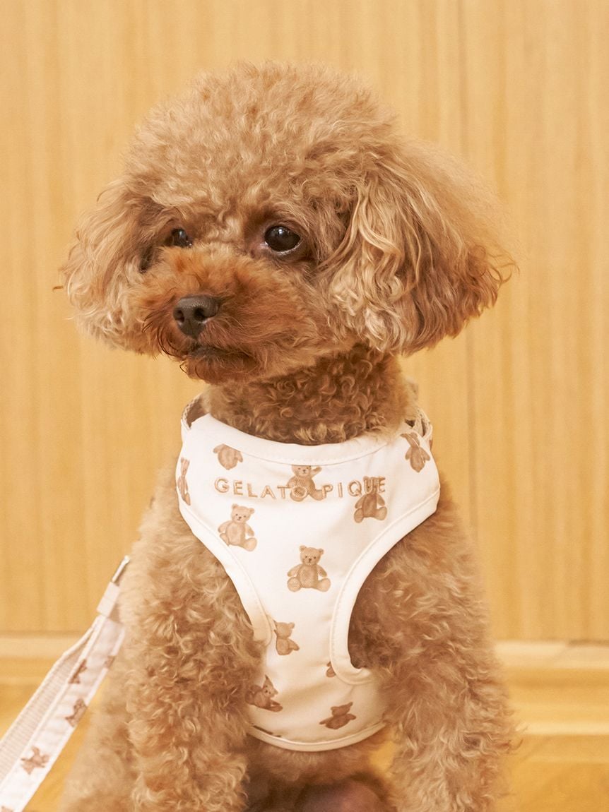 gelato pique(ジェラートピケ)【CAT&DOG】【販路限定商品】 モチーフ柄背中あきハーネス
