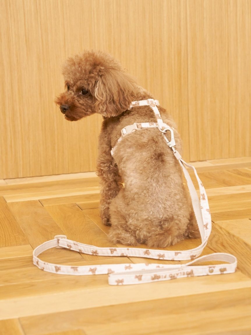 gelato pique(ジェラートピケ) 【CAT&DOG】【販路限定商品】モチーフ柄リード