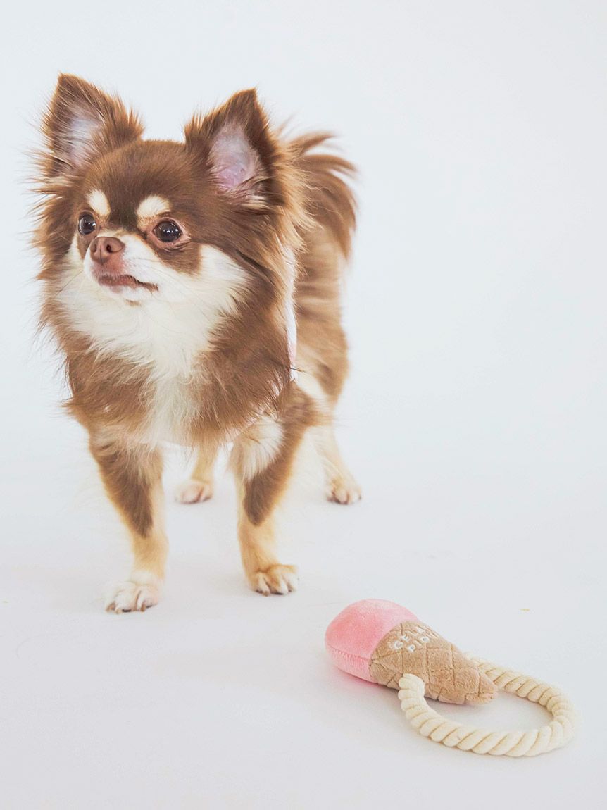gelato pique（ジェラートピケ）【CAT&DOG】【販路限定商品】ロープ付きアイスモチーフトイ｜全2色