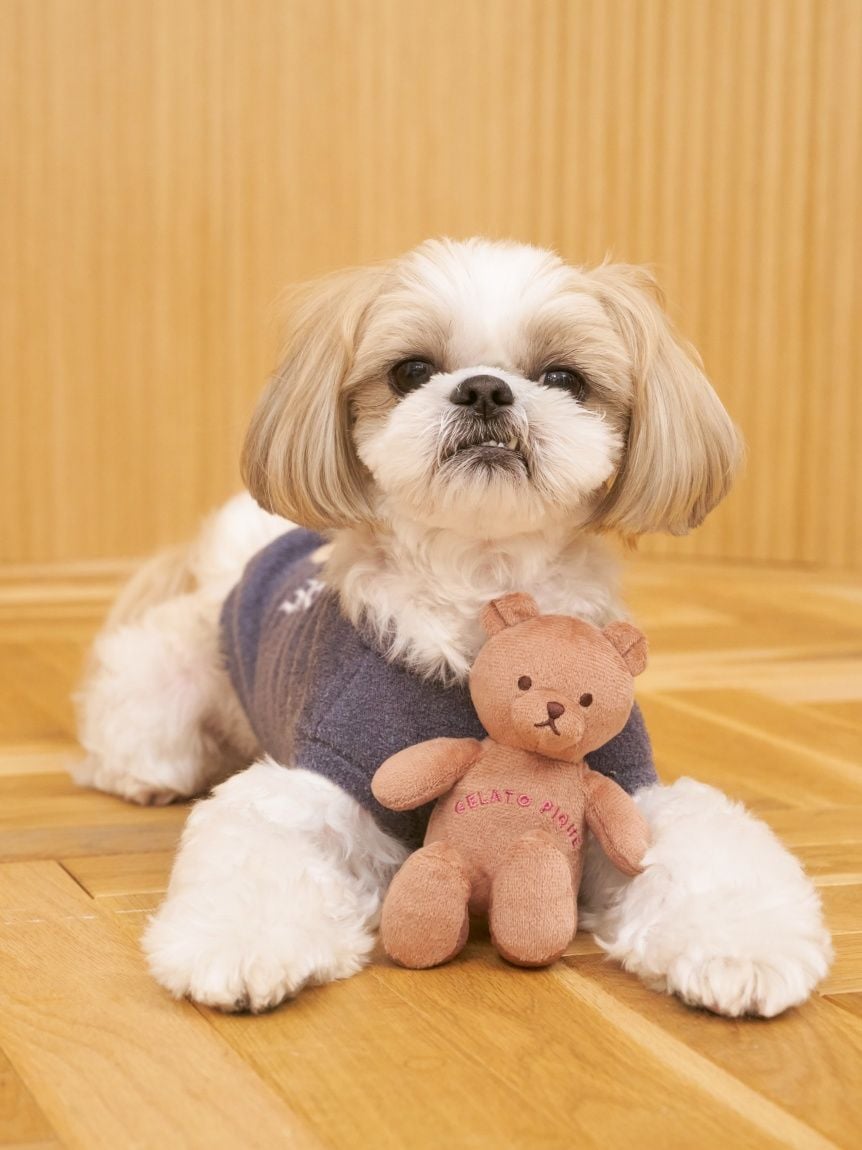 gelato pique(ジェラートピケ)【CAT&DOG】【販路限定商品】ベアトイ
