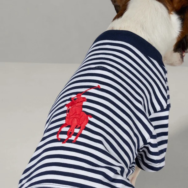 RALPH LAUREN(ラルフローレン)ポロポニーストライプTシャツ / Dog Polo Pony Stripe T-Shirt