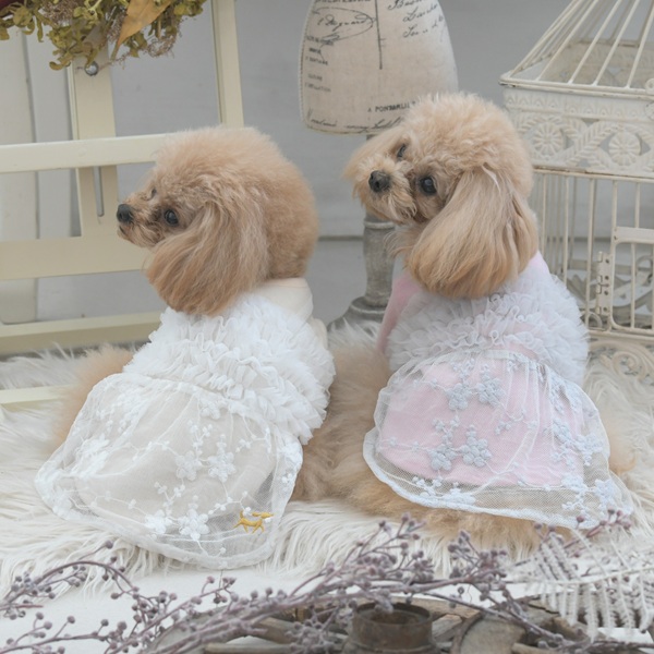 2025秋冬 ROPE PICNIC(ロペピクニック)ドッキングチュールワンピース