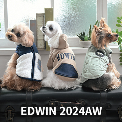  Autumn&Winter EDWIN