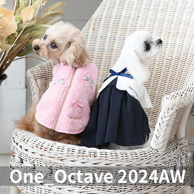  Autumn&Winter OCTAVE