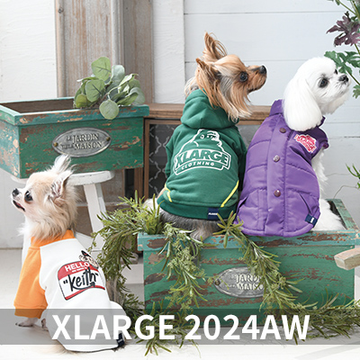  Autumn&Winter XLARGE