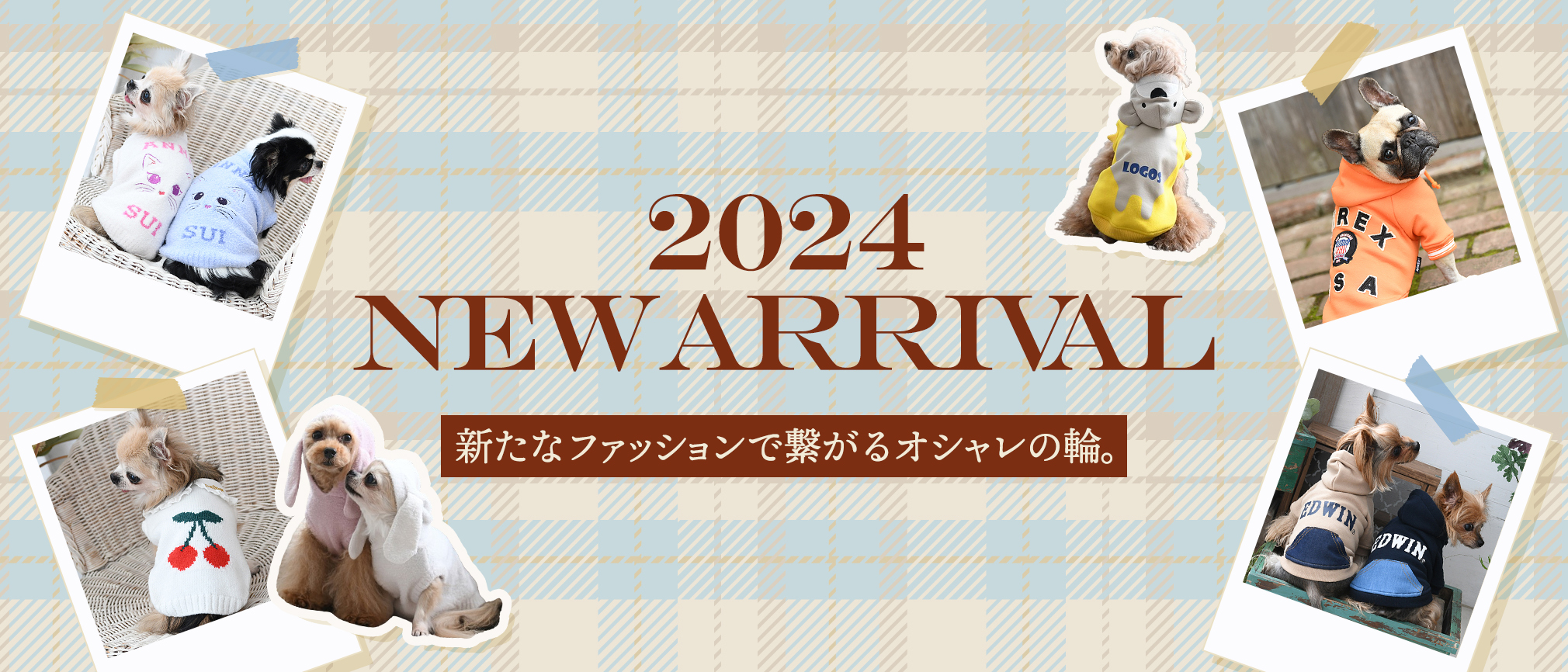 24年秋冬新作アイテム販売開始