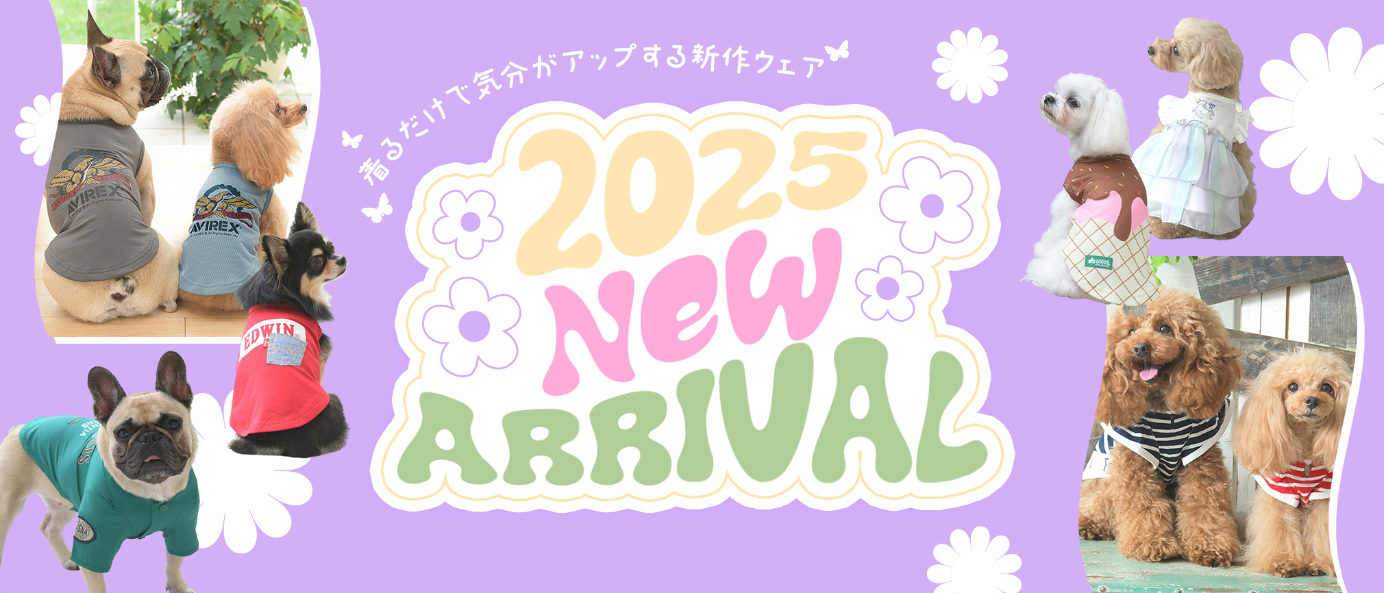 25年新作アイテムの先行予約販売開始