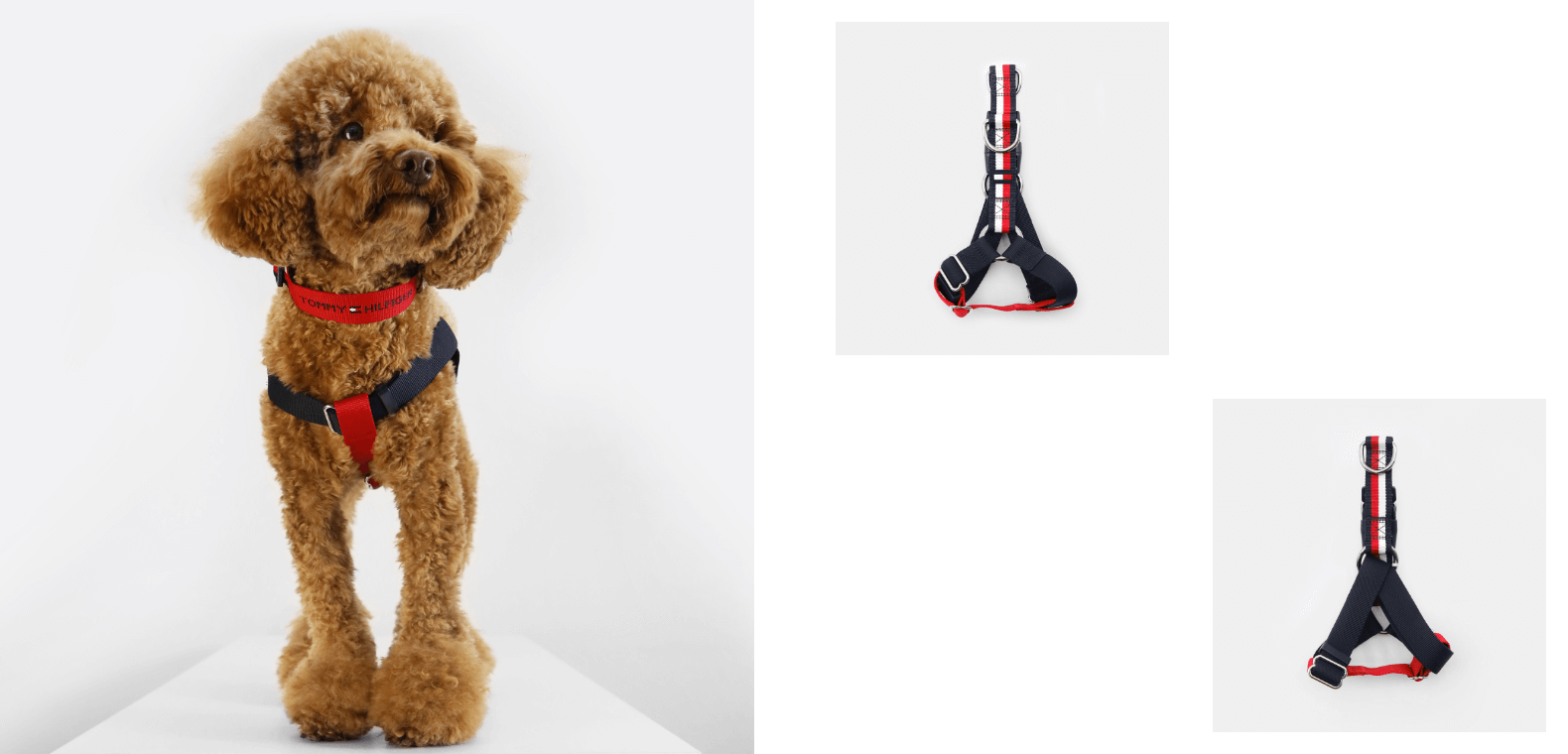 ハーネス / Dog Color-Brocked Harness