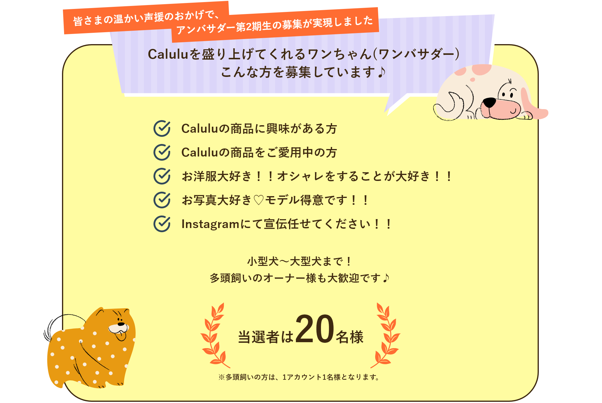 Caluluを盛り上げてくれるワンちゃん(ワンバサダー) こんな方を募集しています♪