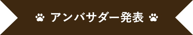 アンバサダー発表