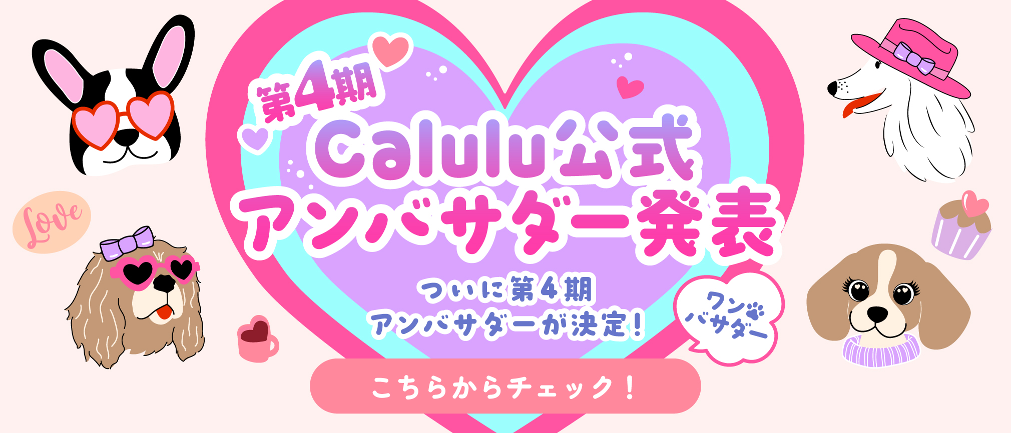 calulu_ambassador_fourth