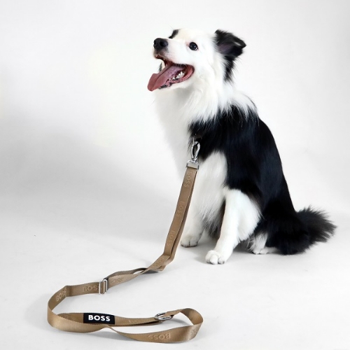 リード / Dog Essentials Leash