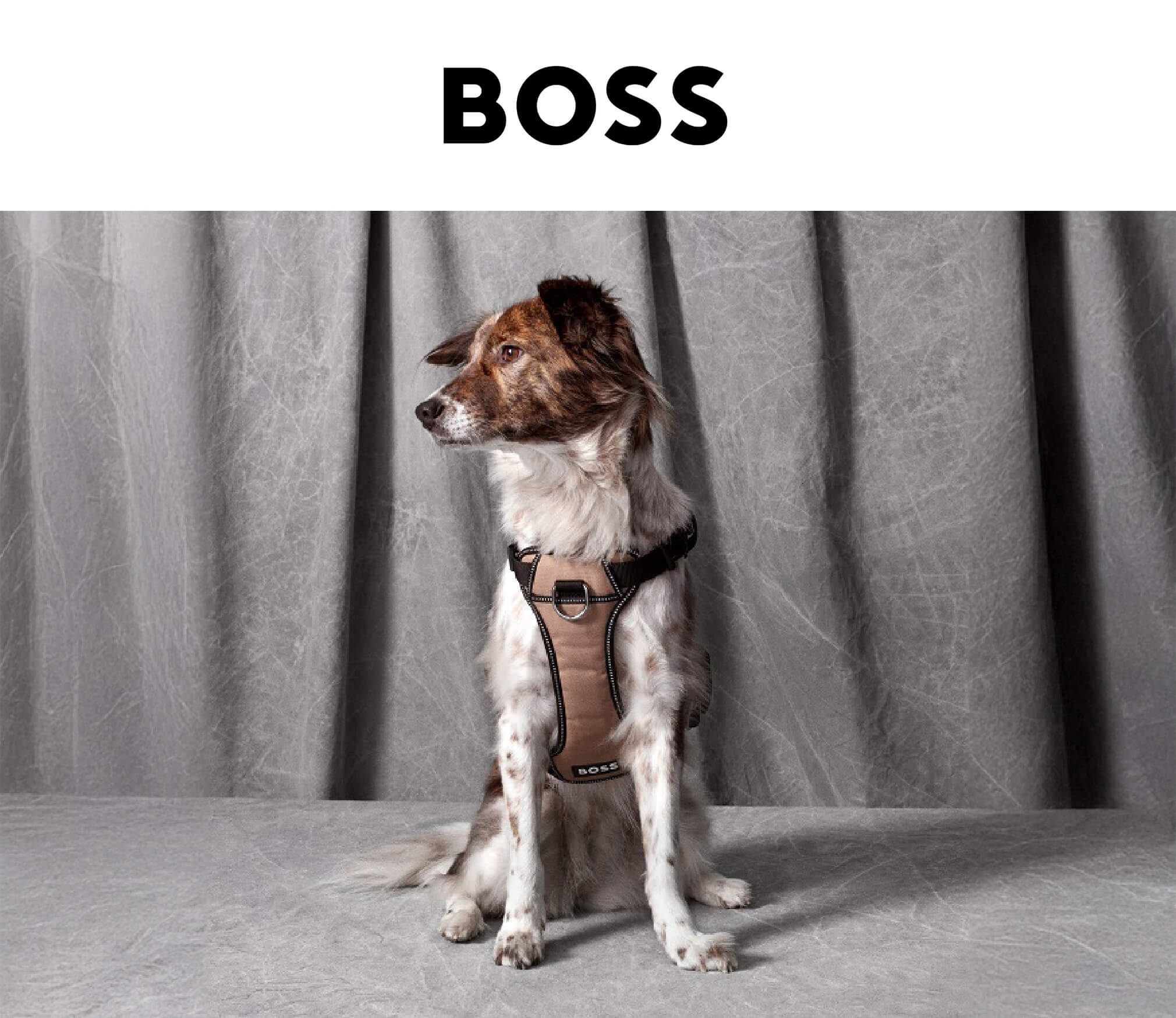 BOSS