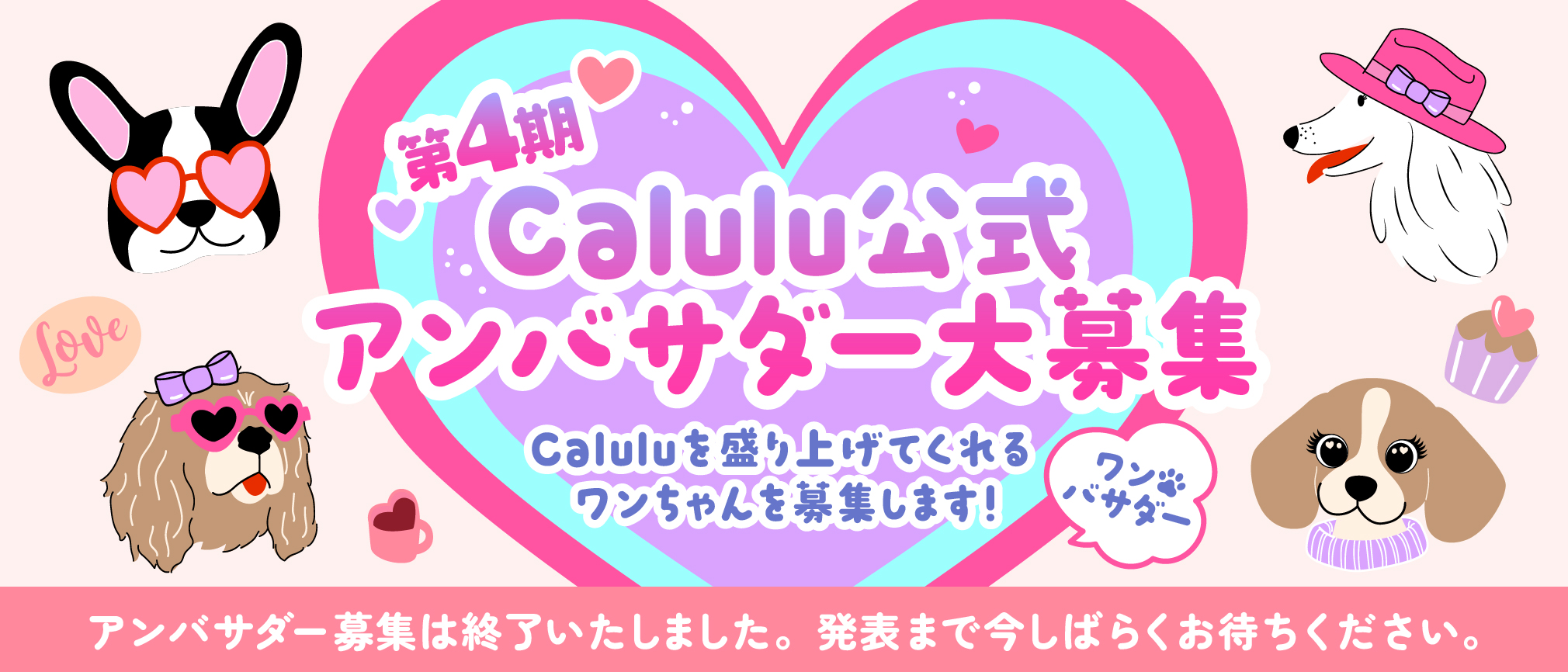 calulu_ambassador_fourth