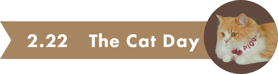 2.22　The Cat Day