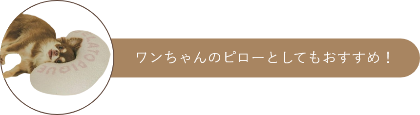 ワンちゃんのピローとしてもおすすめ！