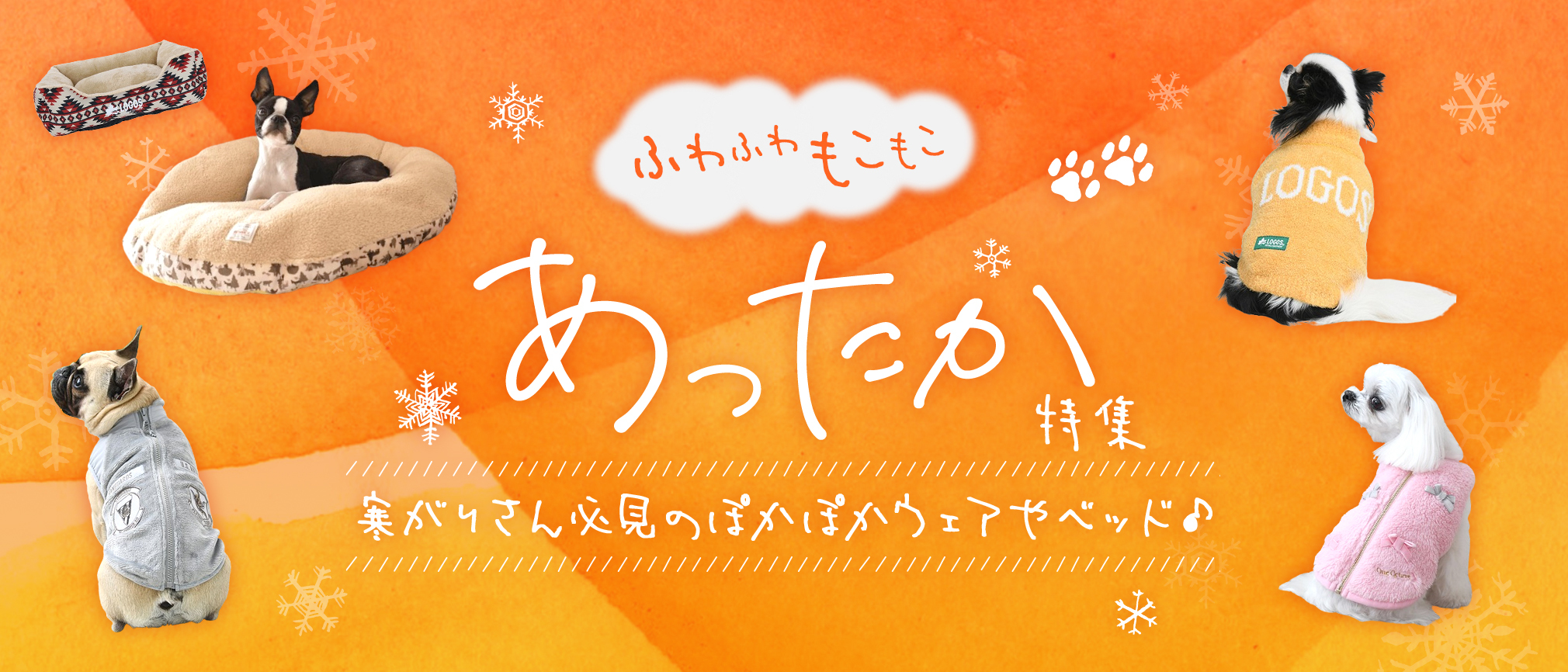 寒い冬に防寒対策！お散歩もおうちも暖かく♪カルルおすすめ！あったか特集