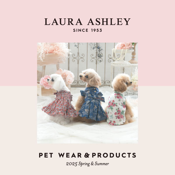 【先行予約販売期間のみ10％OFF！】2025新商品 LAURA ASHLEY（ローラアシュレイ）スモッキング刺繍キャミワンピース