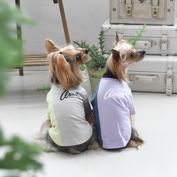 Solgra（ソルグラ） バイカラーコード リード お散歩 小型犬 中型犬 犬服