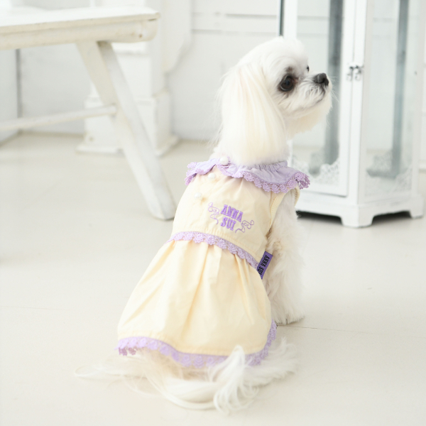 21春夏新作 Anna Sui アナ スイ レースカラー ワンピース 犬服 ドックウェアcalulu カルル