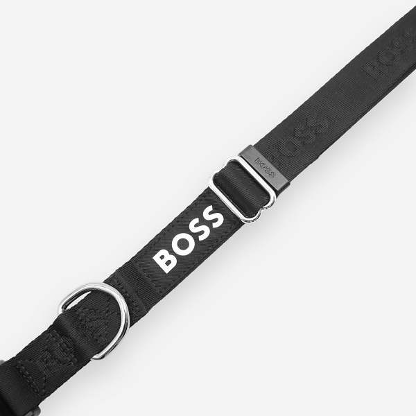 【先行予約販売】BOSS（ボス）カラー / Dog Essentials Collar