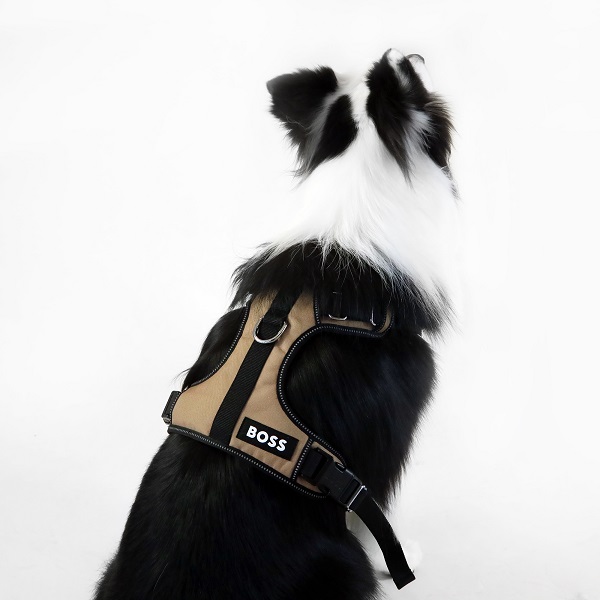 【先行予約販売】BOSS（ボス）ハーネス / Dog Essentials Harness