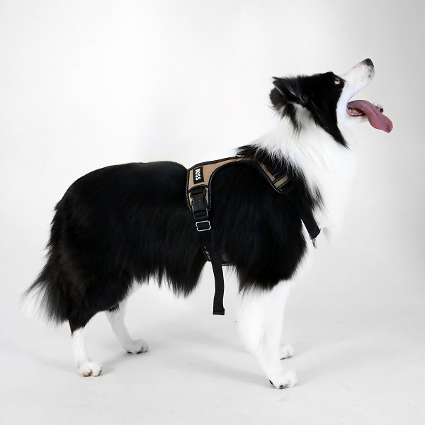 【先行予約販売】BOSS（ボス）ハーネス / Dog Essentials Harness