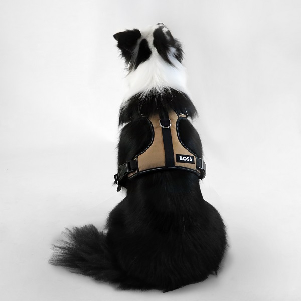 【先行予約販売】BOSS（ボス）ハーネス / Dog Essentials Harness