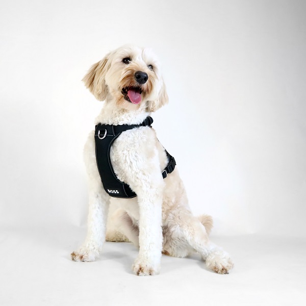 【先行予約販売】BOSS（ボス）ハーネス / Dog Essentials Harness